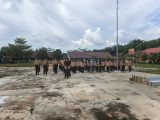 Pramuka SMAN 1 Pulau Rimau